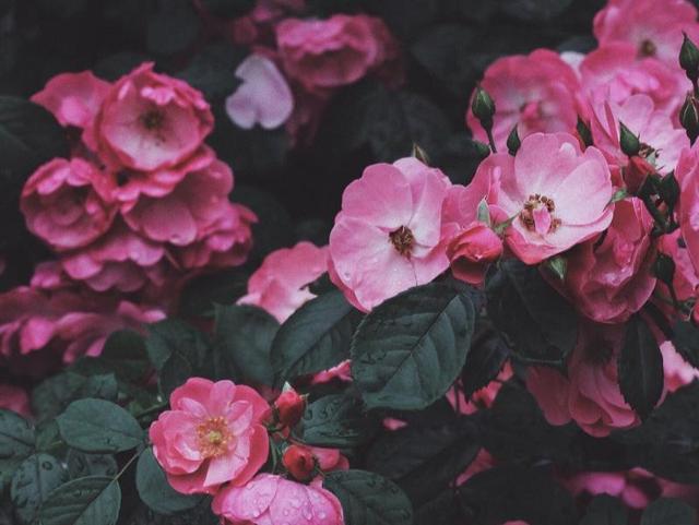 天蝎座男生谈恋爱不爱搭理女朋友,为什么和天蝎座表白后不搭理我了