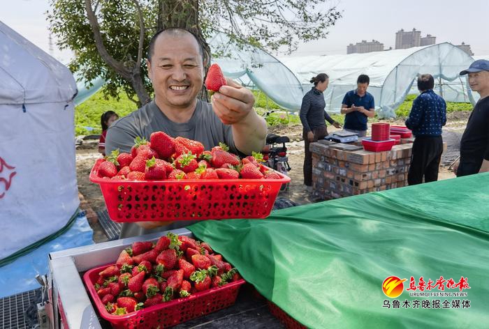 农村小型种植农场经营模式,家庭农场化现代农业之路