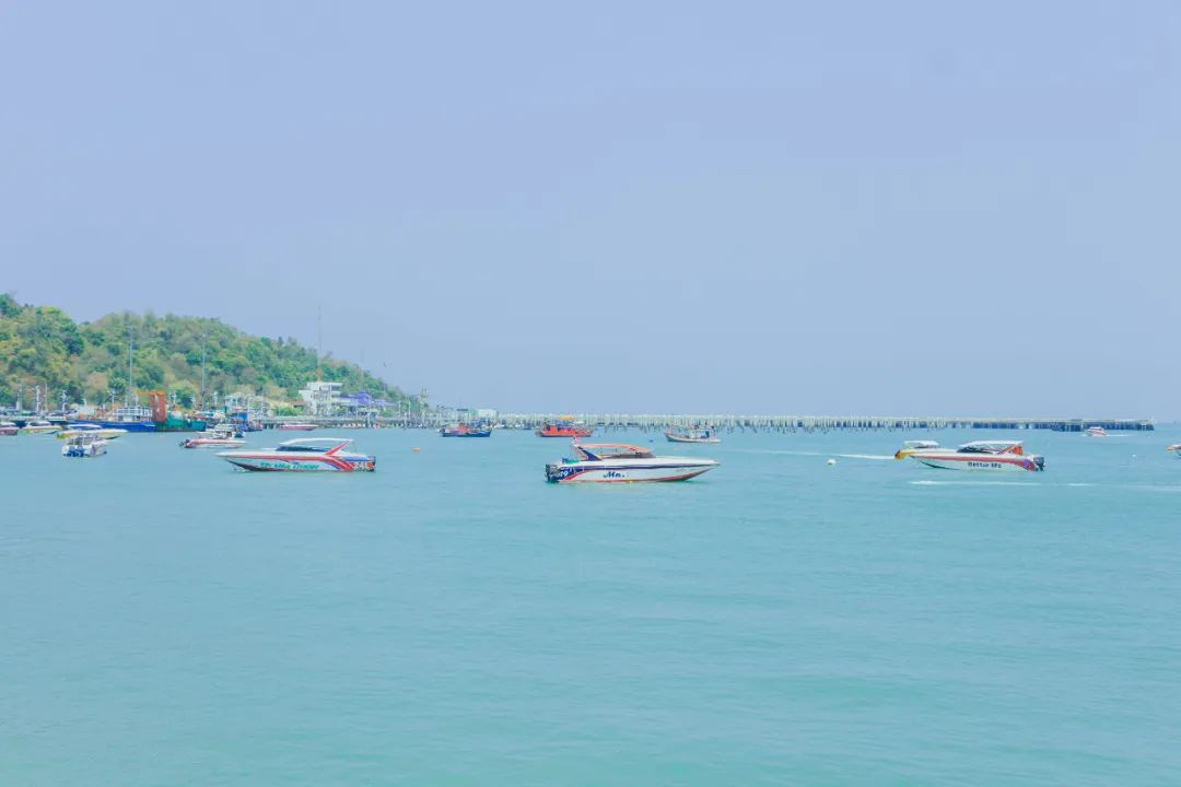 鍘绘嘲鍥芥浖璋峰拰鑺彁闆呯殑鏀荤暐,鍘绘嘲鍥界帺杞浖璋疯姯鎻愰泤