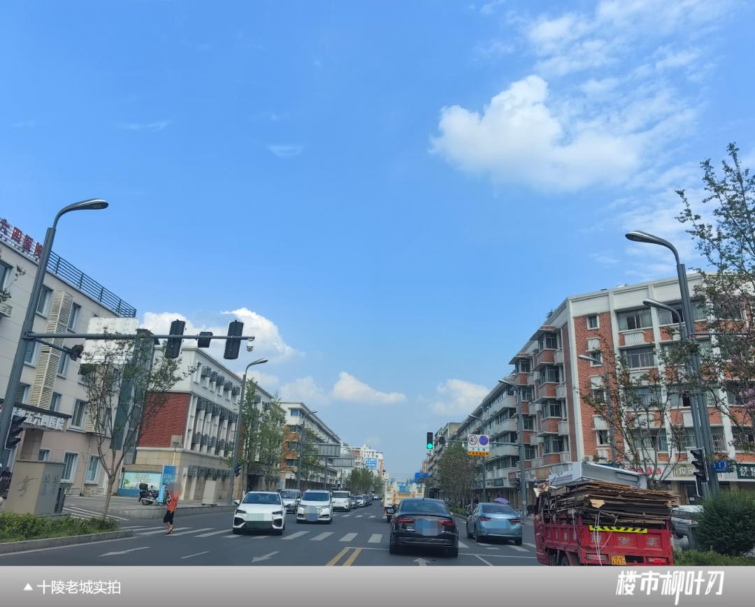 成都武侯新城板块,成都主城区板块分析最新