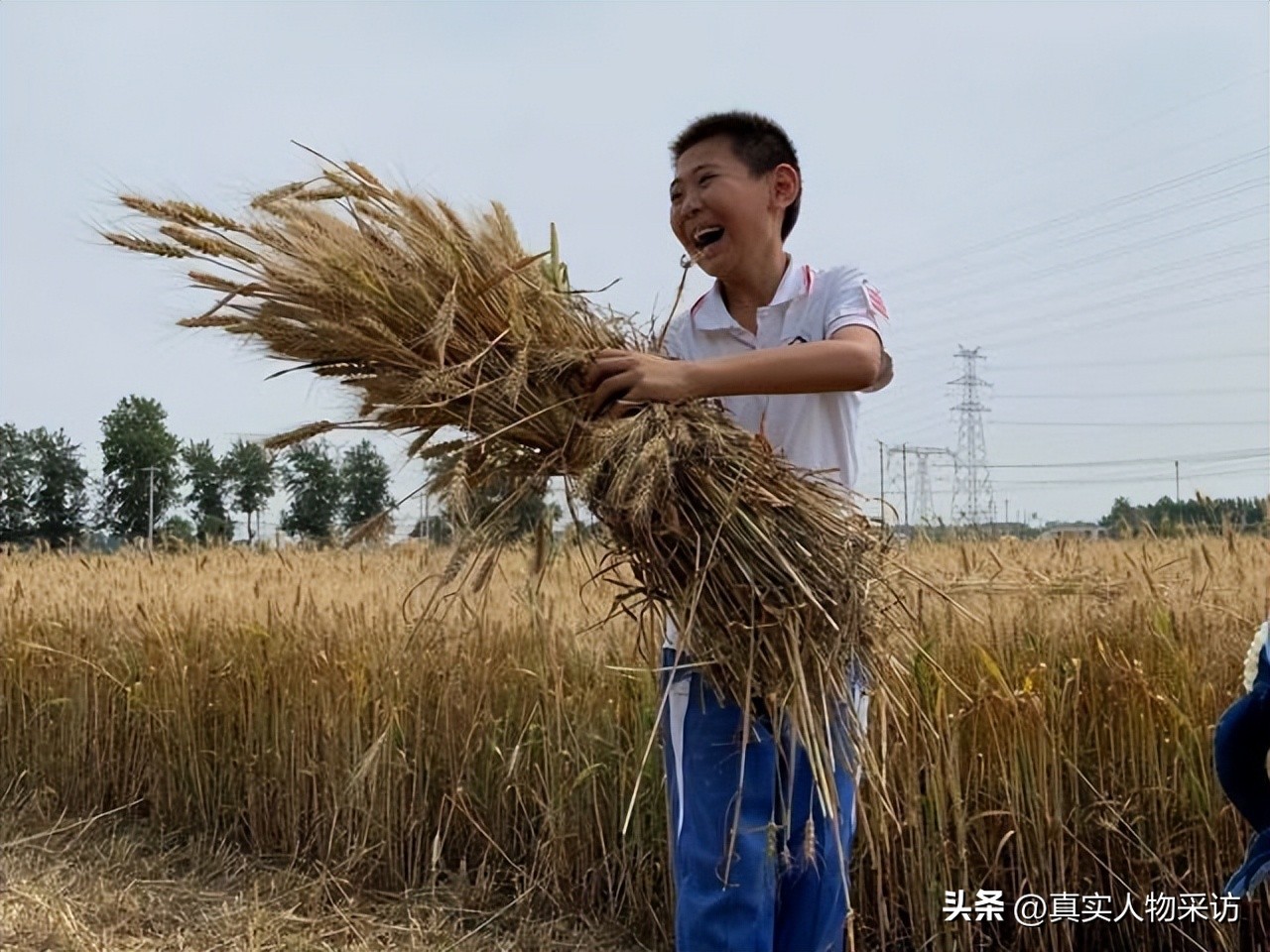 农村女孩3次逆袭创业年收入700w,农村女孩创业4年赚40万