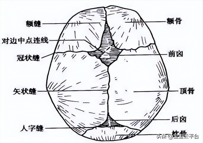 不小心碰了四个月宝宝囟门怎么办,宝宝的囟门碰到会鼻子不通气吗