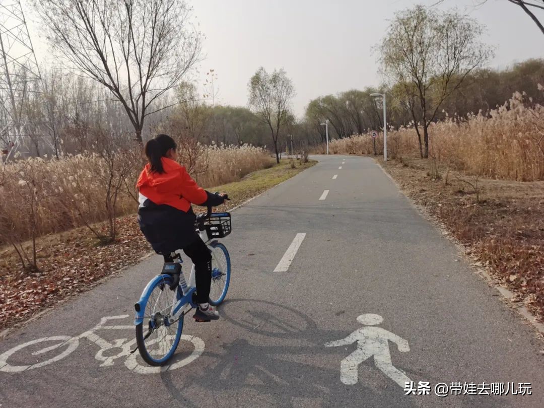 在森林公园里玩耍,中国可以骑行的森林公园