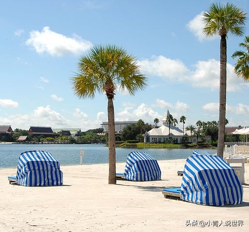 奥兰多有什么好玩的景点,奥兰多风景