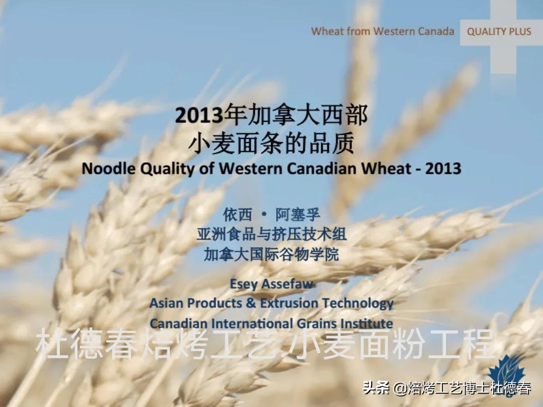 做面包饺子用什么面粉,做水饺馒头用什么面粉最好