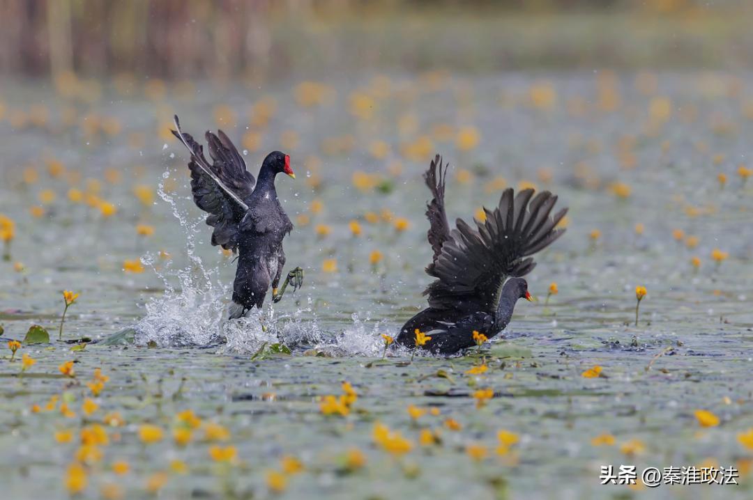 南京地铁一号线游玩攻略最新,南京地铁4号线沿途景点有哪些