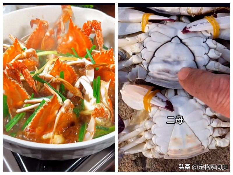 梭子蟹50斤批发,最便宜的螃蟹鲜活发货