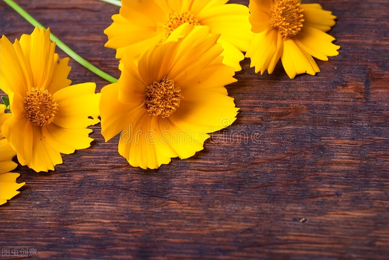 老公再爱我一次电视剧全集,老公再爱我一次全文免费阅读