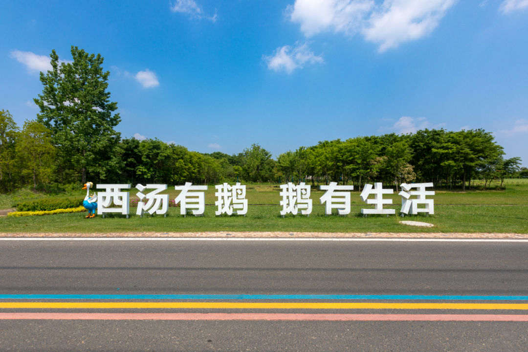 这个五一长假，闯进溧阳鹅村童话世界，做个快乐的大小“鹅”童