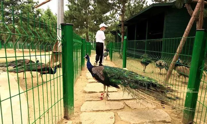 春天的第一场露营怎么策划,春天的第一场露营安排起来