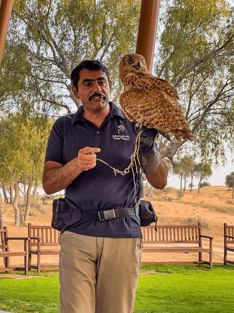 阿联酋丽思卡尔顿,阿联酋野奢帐篷