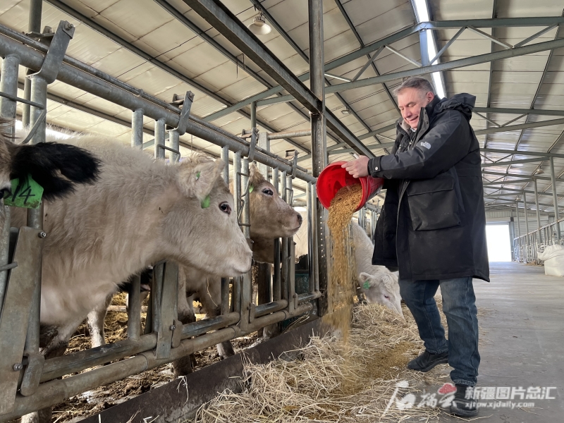 *疆新**好故事｜比利时丹尼大叔在*疆新**实现了两个梦想