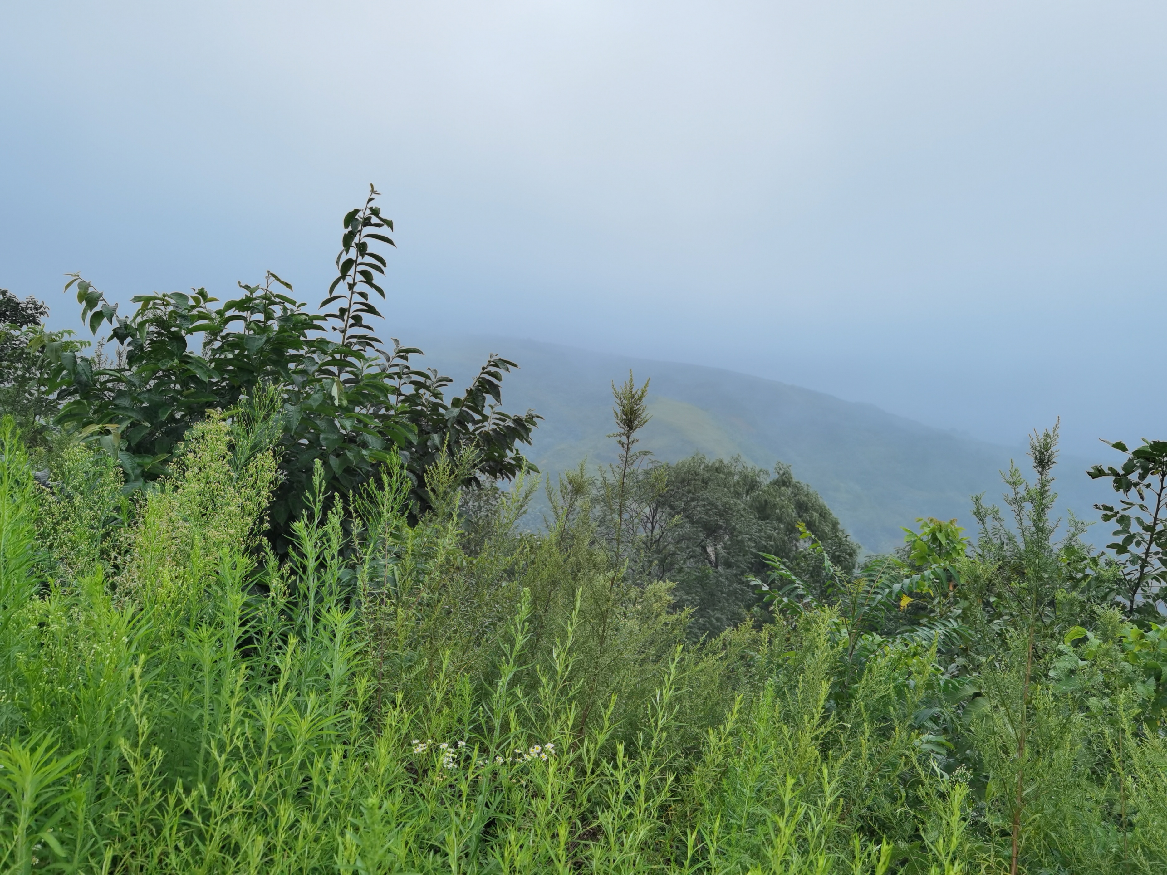 孔明：北沟这条路