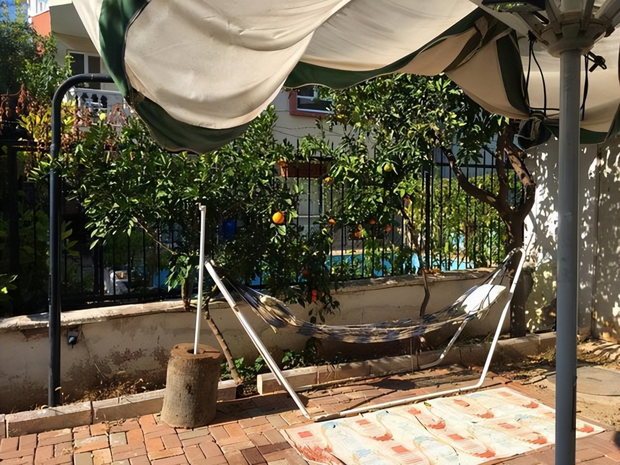 庭院种植满树花好不好风水,农村小院栽什么树旺宅