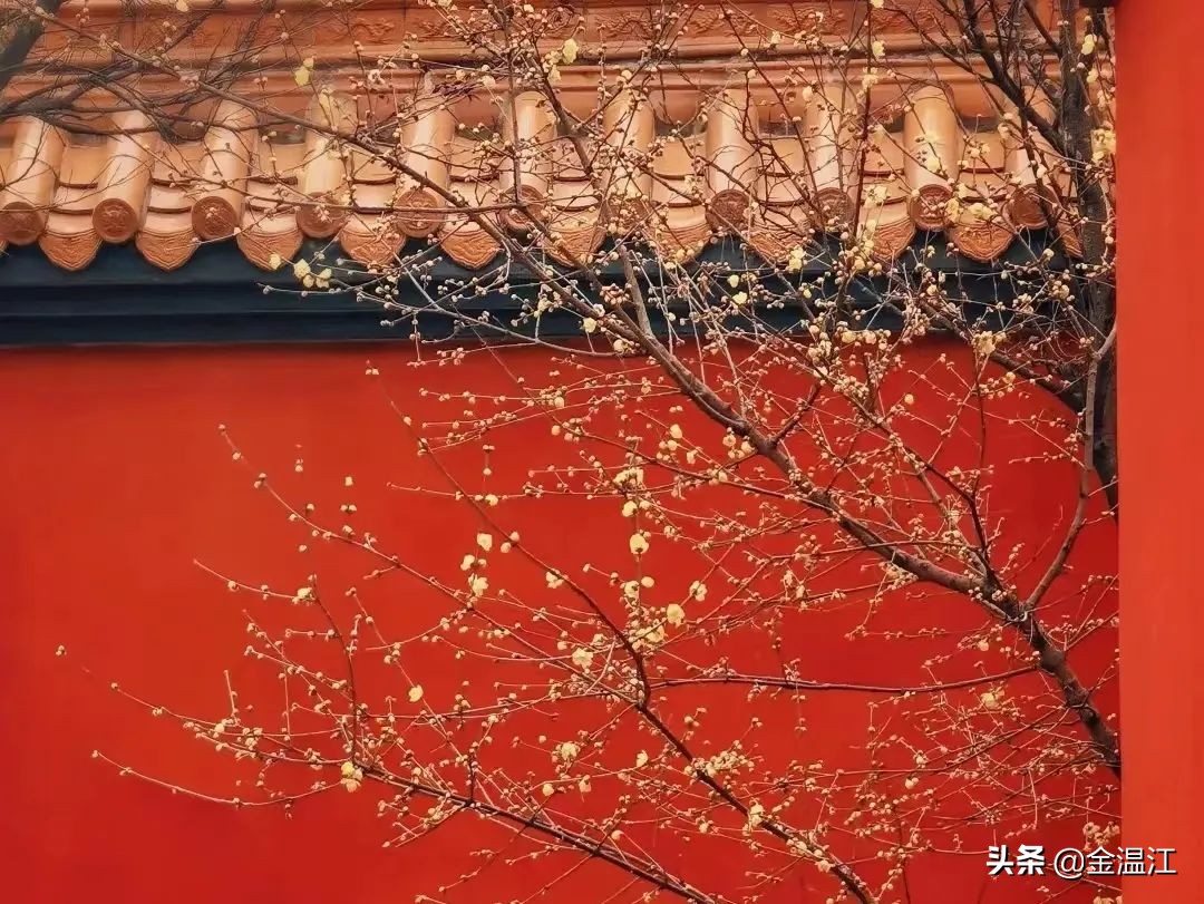 藏不住了！《梦华录》同款宋韵美学，就在温江这些地方→