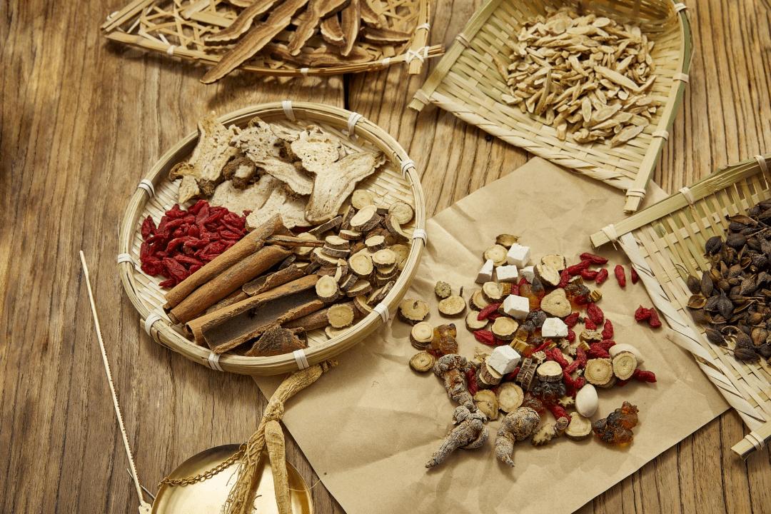 伸筋草搭配海风藤可以治痛风吗,五指毛桃土茯苓鸡血藤能治痛风吗