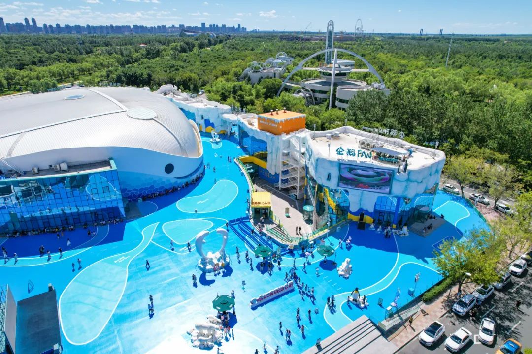 哈尔滨冰城冬季旅游攻略,冰城旅游攻略