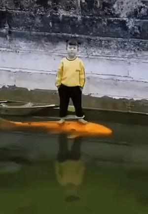 “无意中在女同事车上发现的，这是用来干嘛的？”网友们内涵了