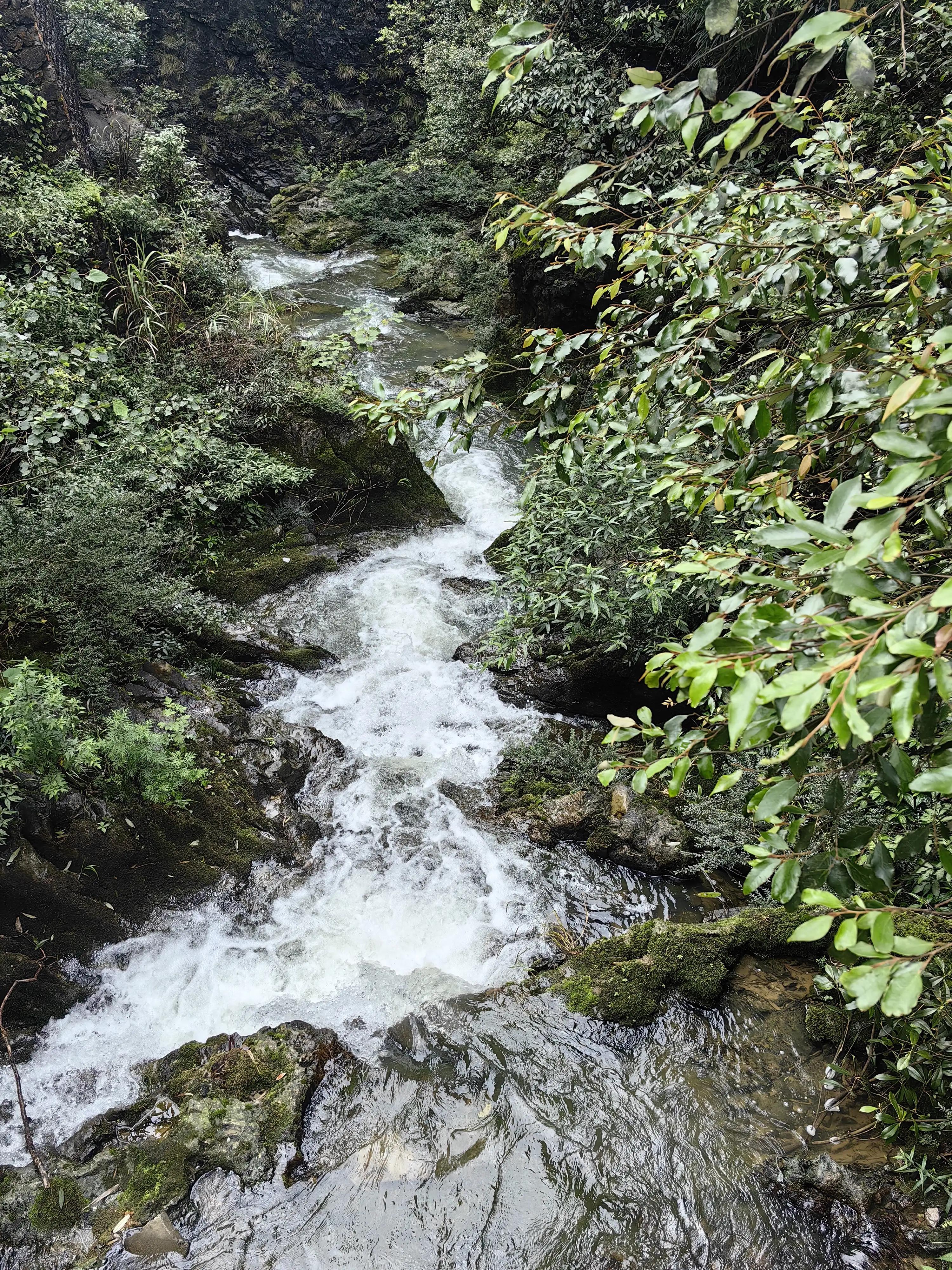重庆万盛黑山谷天气预报,重庆5a景区的山