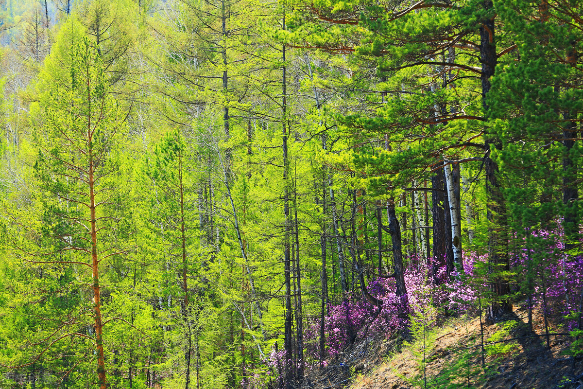 米兰的按摩院（下）