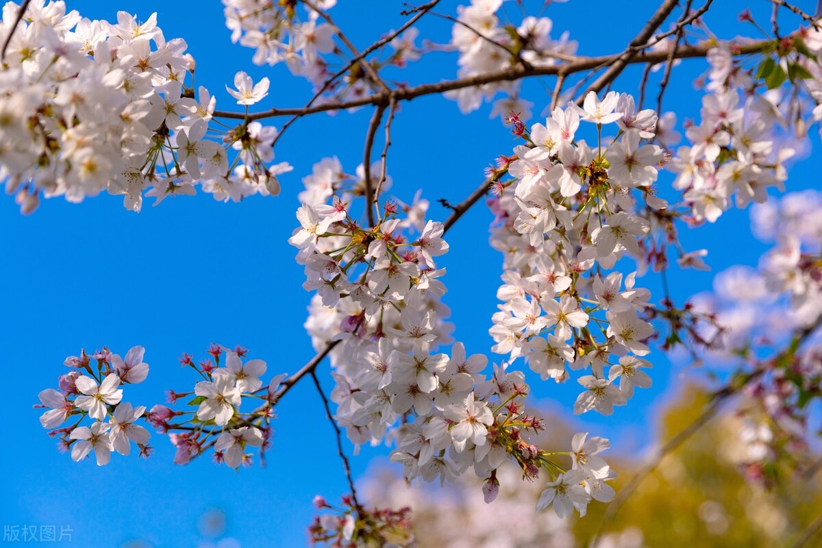 女人改变自己的最佳方法,男人改变自己的方法