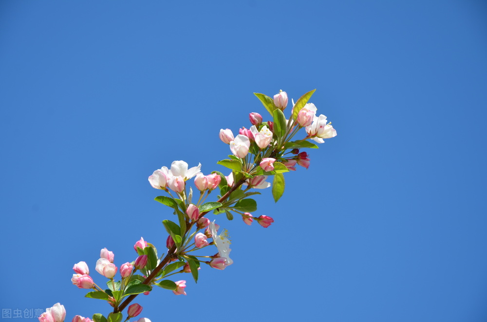 缓解焦虑的方式便是好好热爱生活,减少焦虑的最好的办法英语