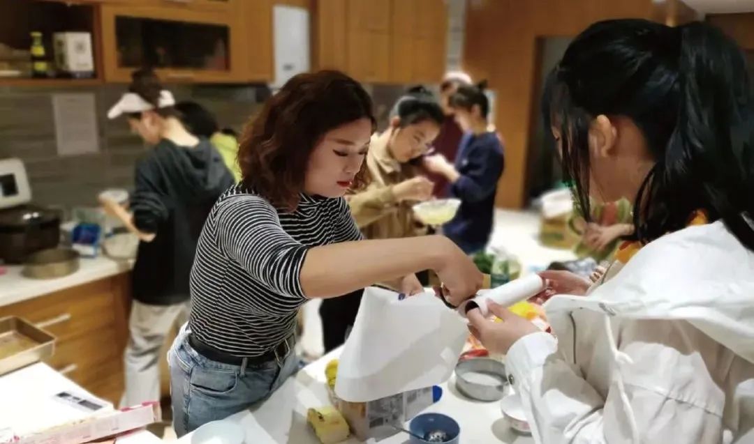 沈阳城市学院报考条件,沈阳城市学院2024年招生简章