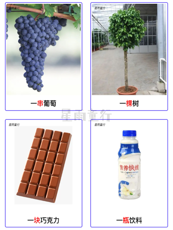 认知量词卡片,量词小卡片