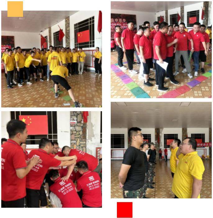 迪斯科集团,迪斯科集团公司