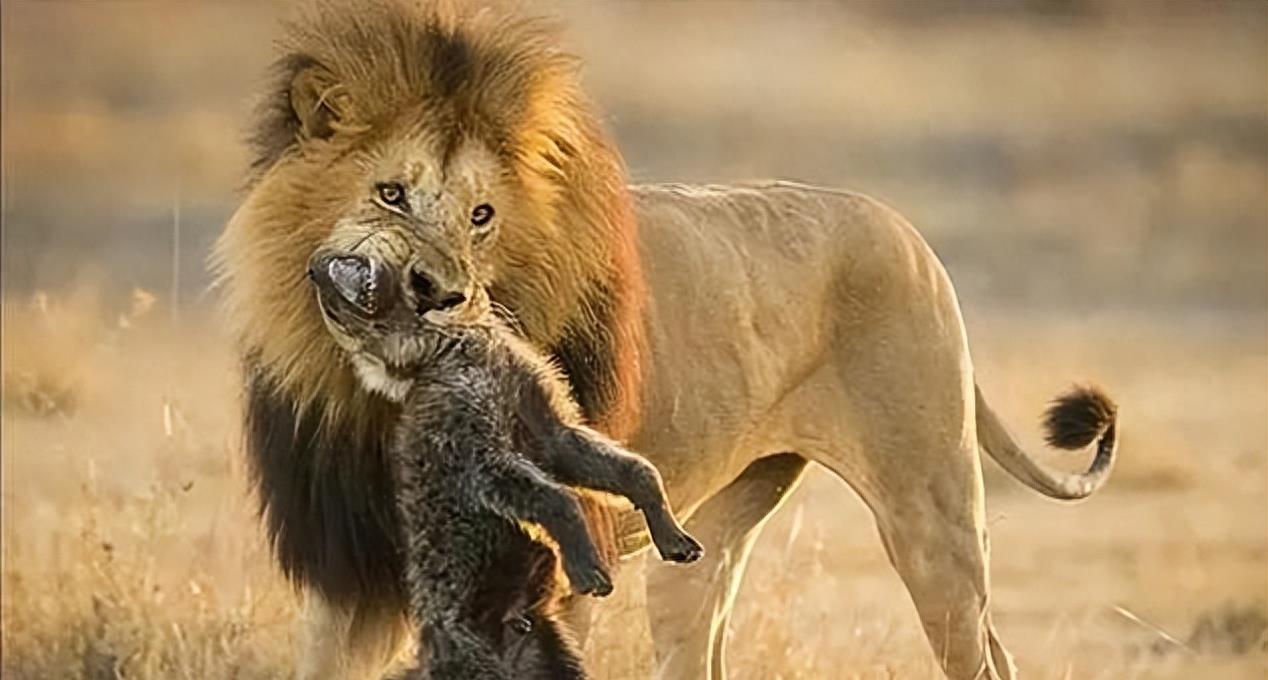 世界最罕见的女人图片高清,最罕见的30张照片女性