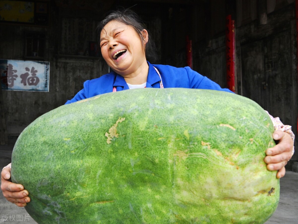 减脂期间的最佳美食,又好吃又减脂的美食