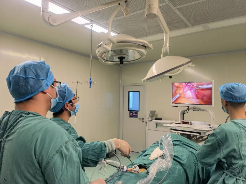 改善患者就医体验护理创新,改善患者就医体验主题活动