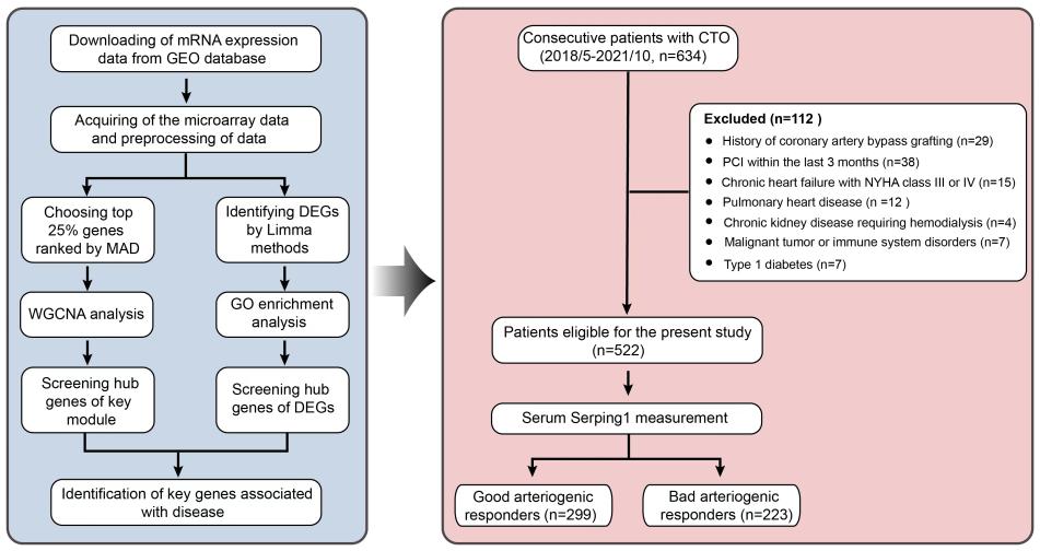 4张图=6分+的WGCNA非肿瘤诊断标记物筛选！简单实验也可达成！