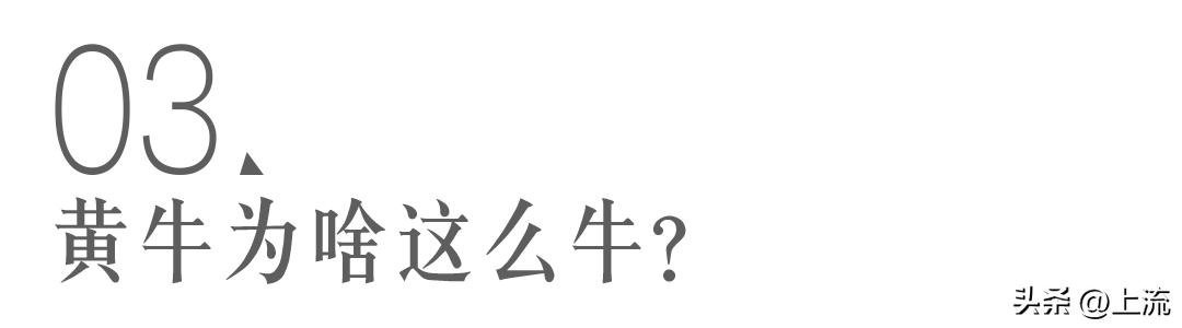 黄牛的操作能有多离谱,论黄牛的操作有多离谱