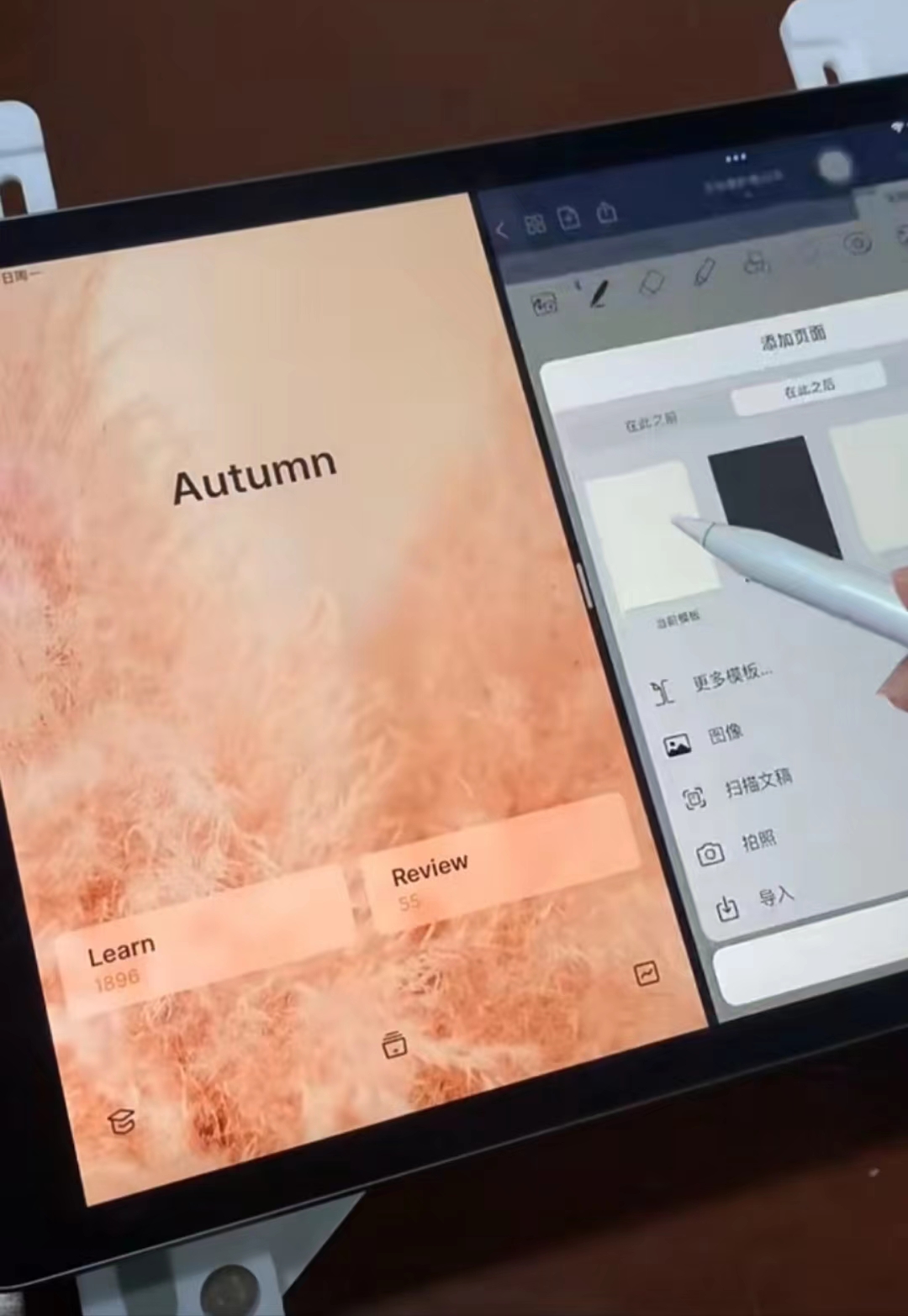 ipad9和华为matepad11怎么选择,ipad9和华为matepad11怎么选
