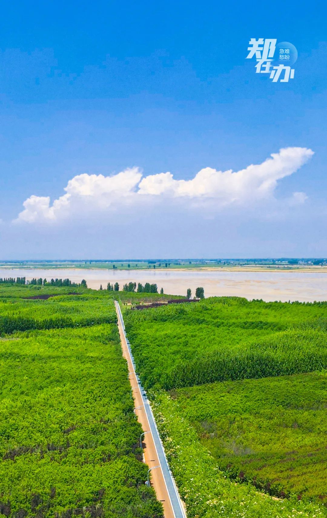 郑州哪个地方最适合春游,3月春游好去处郑州