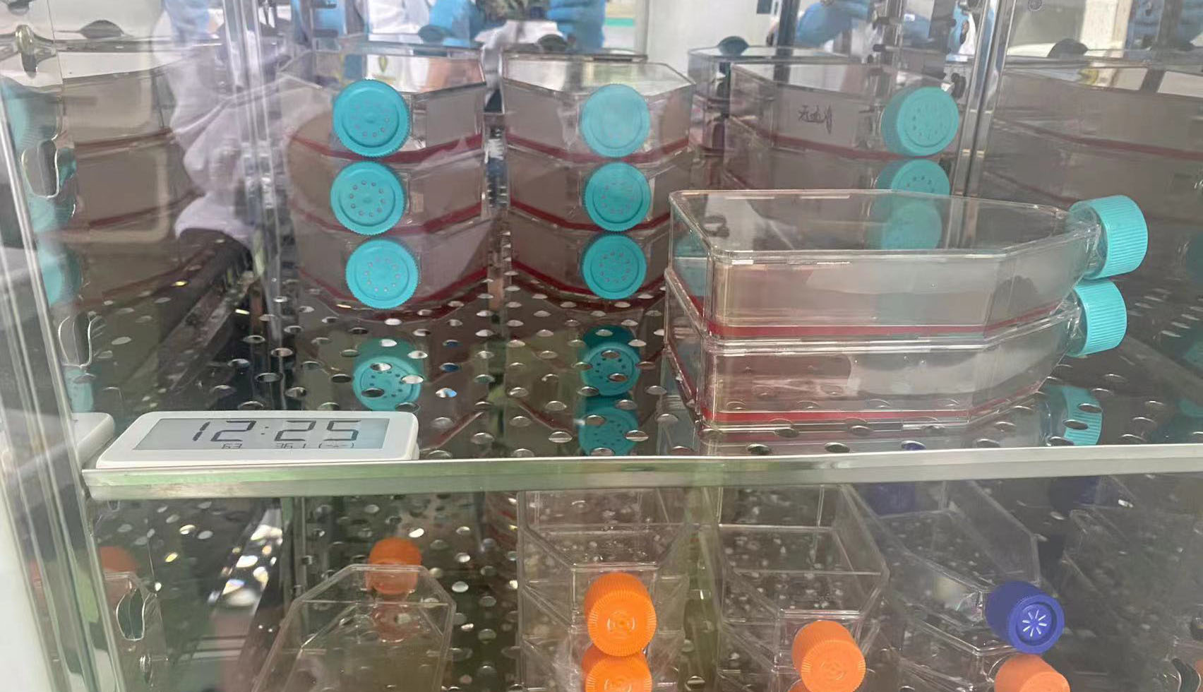 现实版药神救人,现实当中的药神