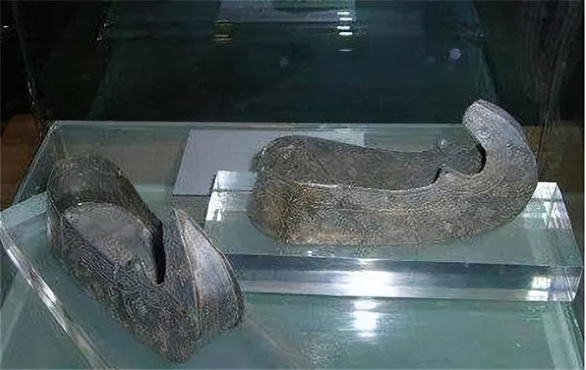 盗墓贼不识货丢掉双破鞋是真的吗,盗墓贼不识货丢掉双破鞋