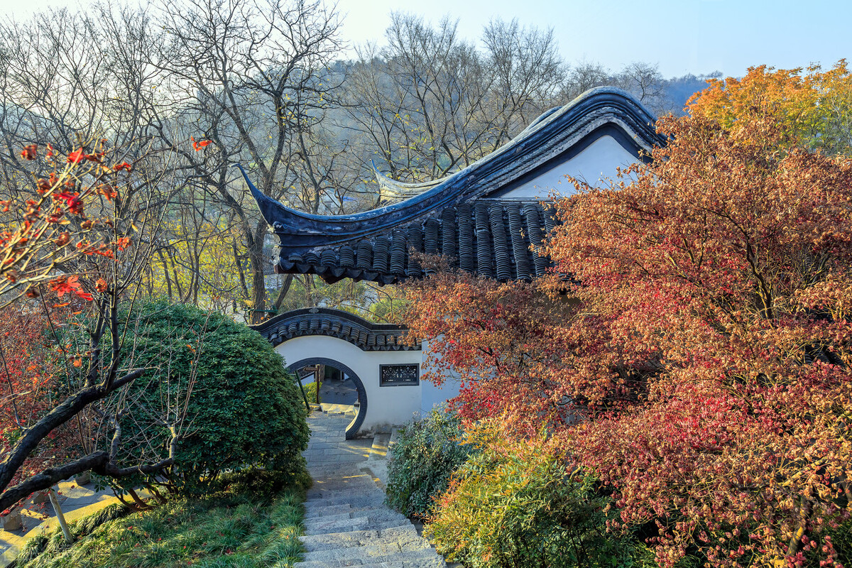 若有所思原唱,乌镇之恋深度解析