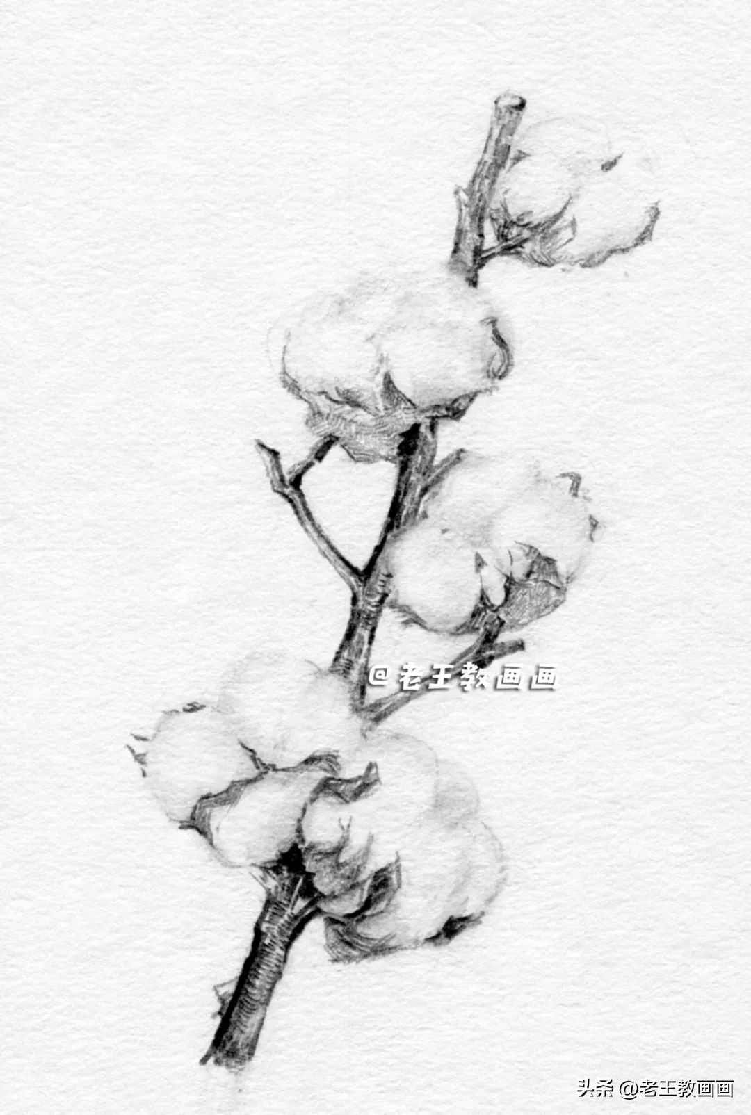 怎么画一个简单的棉花糖,苹果玉米棉花怎么画