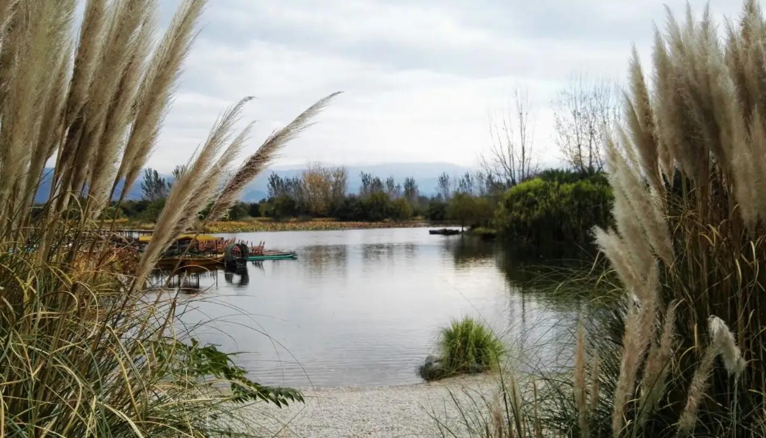 成都人的后花园：四季如春，被誉为“小三亚”，自驾6h直达