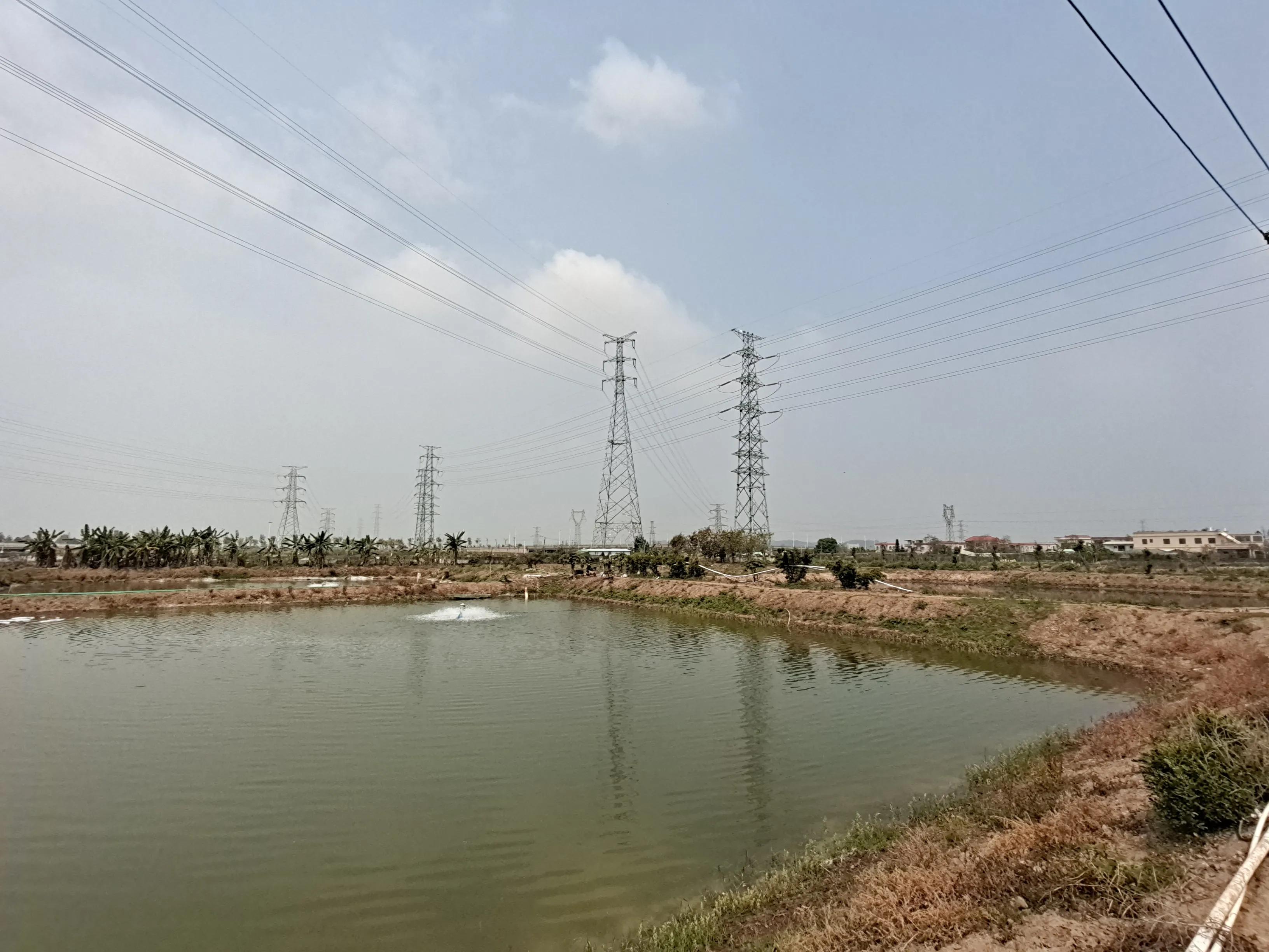 锦鲤繁殖养殖技术,红白锦鲤繁殖视频