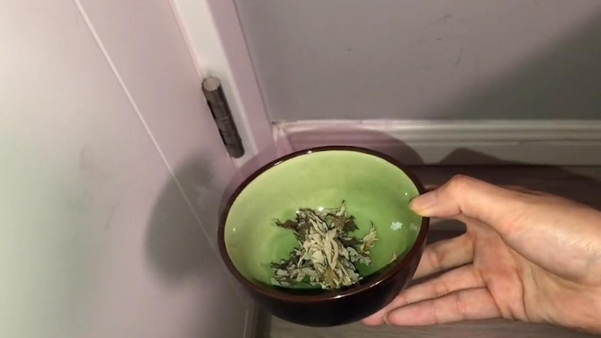 家里有灭蚊子最有效的方法,教你一招轻松解决蚊子