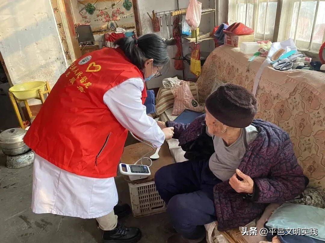 一对一志愿填报服务有哪些,平邑志愿服务