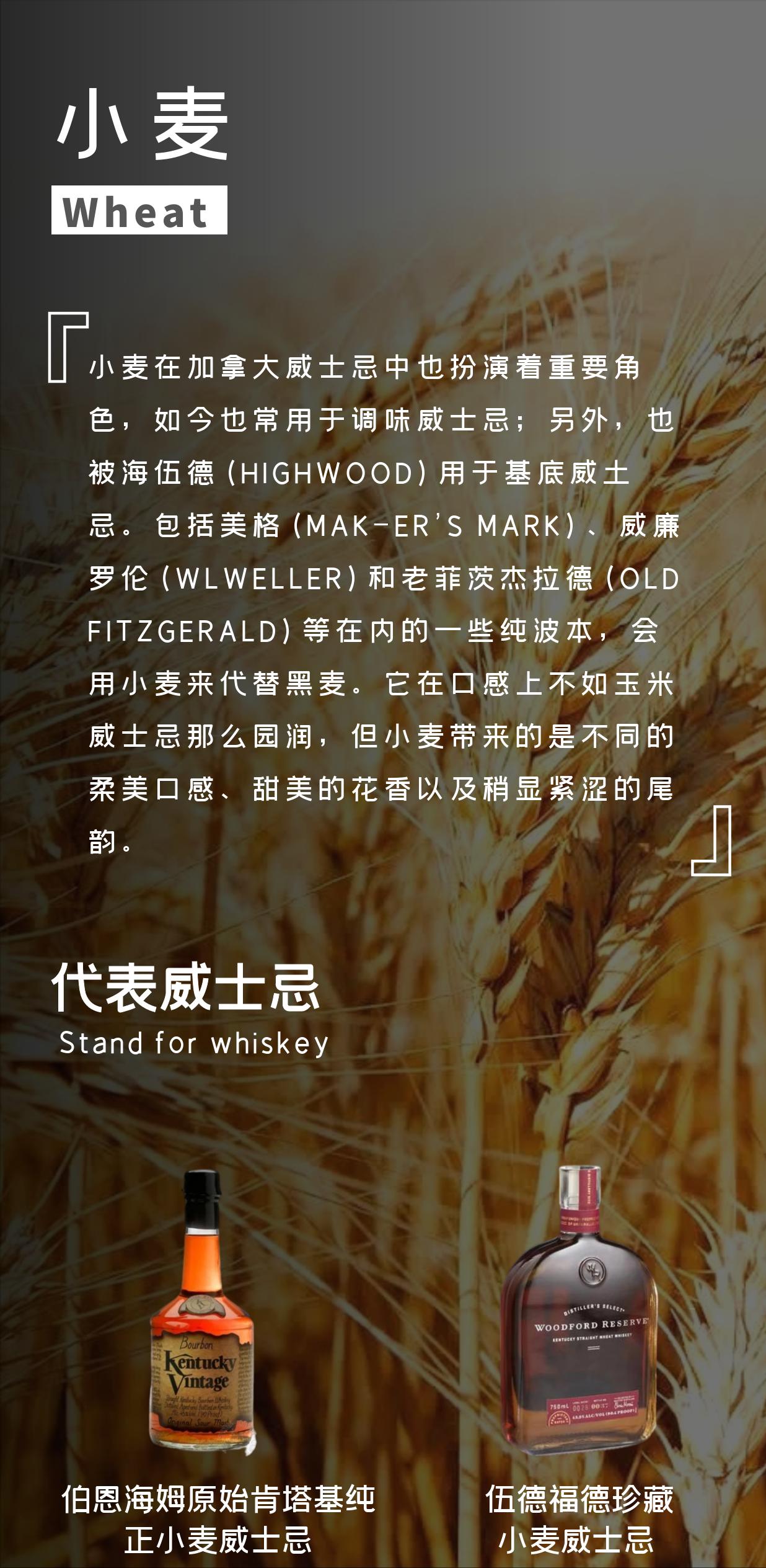 简要介绍威士忌的酿造方法,单一麦芽威士忌怎么有果香味