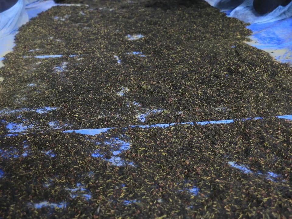 小产业带动乡村振兴大步伐,产业扶贫助力乡村振兴