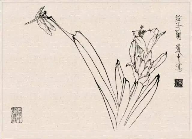 工笔草虫白描王道中,写意花鸟画草虫绘画过程分享