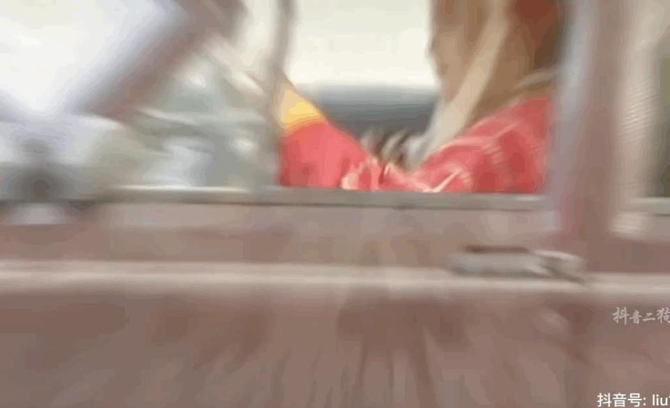 神回复：把儿子头弹破了，老婆马上回家怎么办？我只想留条命