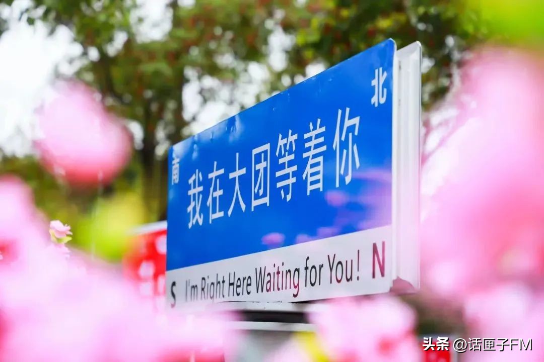 上海桃花节旅游攻略,桃花节推荐去哪里旅游