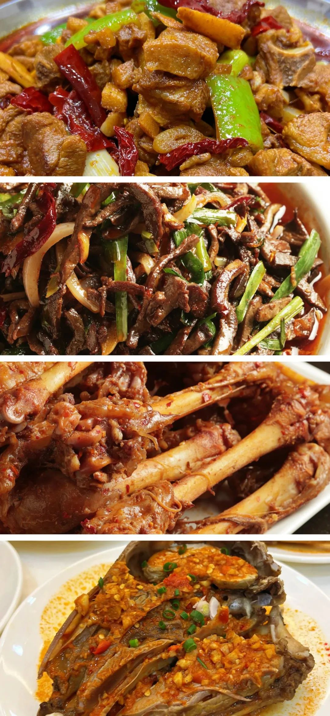 甘肃金昌的羊肉和盐池滩羊,盐池滩羊和横山羊肉